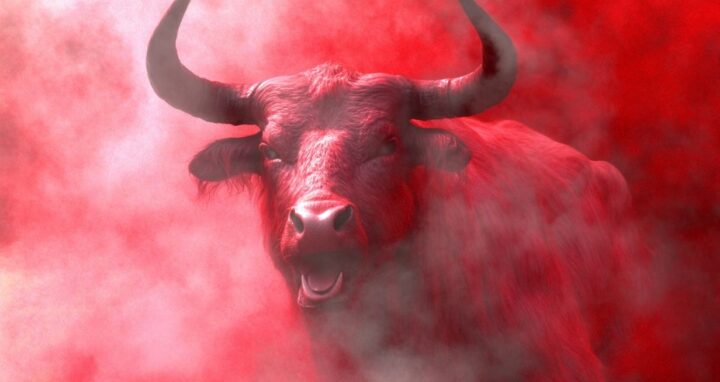 Bull in a red mist moment